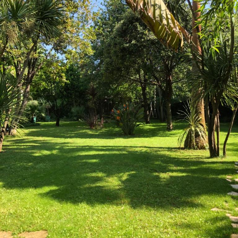Cap d'Antibes 50m from the beach 3 bedrooms/Pool - Villa 3 Chambres - 43