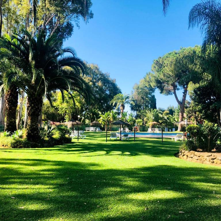 Albanta Suite Banus - Apartamento de 1 dormitorio - 16