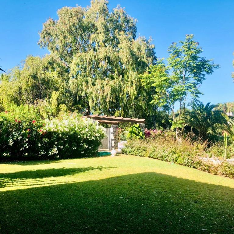 Albanta Suite Banus - Apartamento de 1 dormitorio - 19