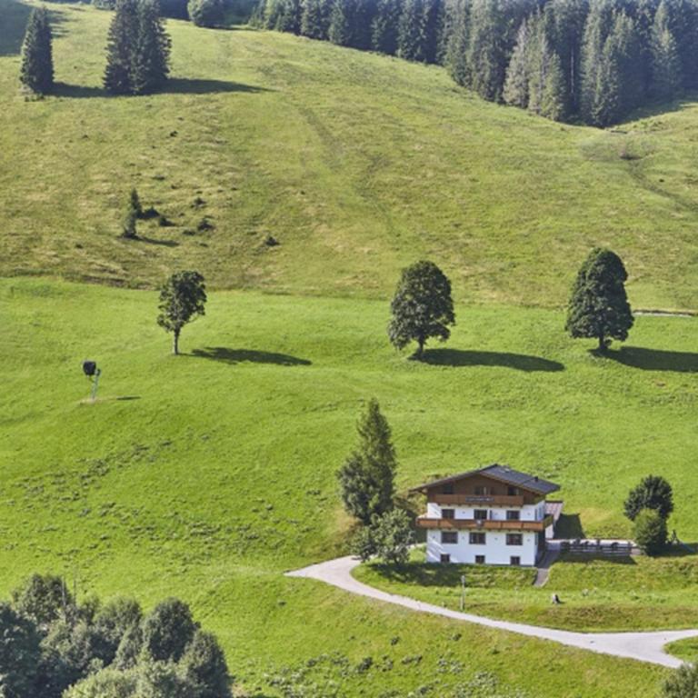 Chalet Wallehen by we rent, Ski-in & Ski-out - One-Bedroom Apartment with Balcony and Mountain View - 9