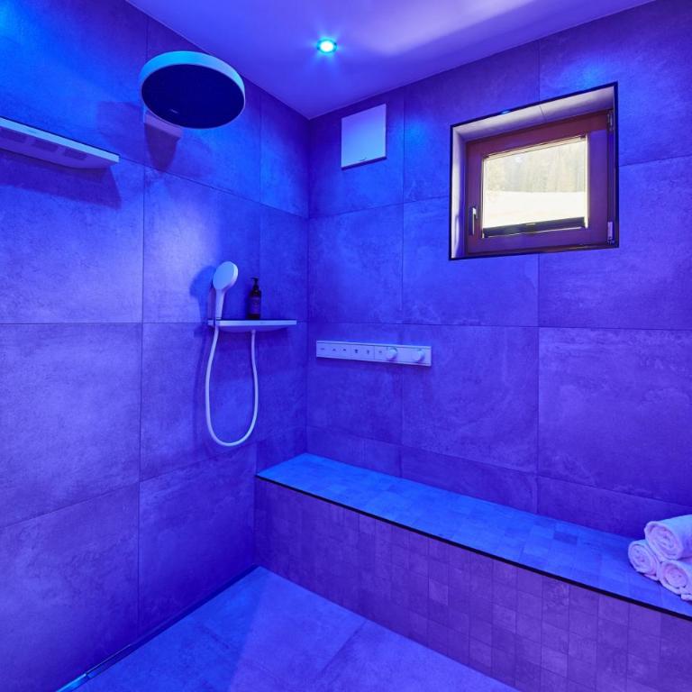 Chalet Wallehen by we rent, Ski-in & Ski-out - Two-Bedroom Deluxe Apartment with Balcony - 10