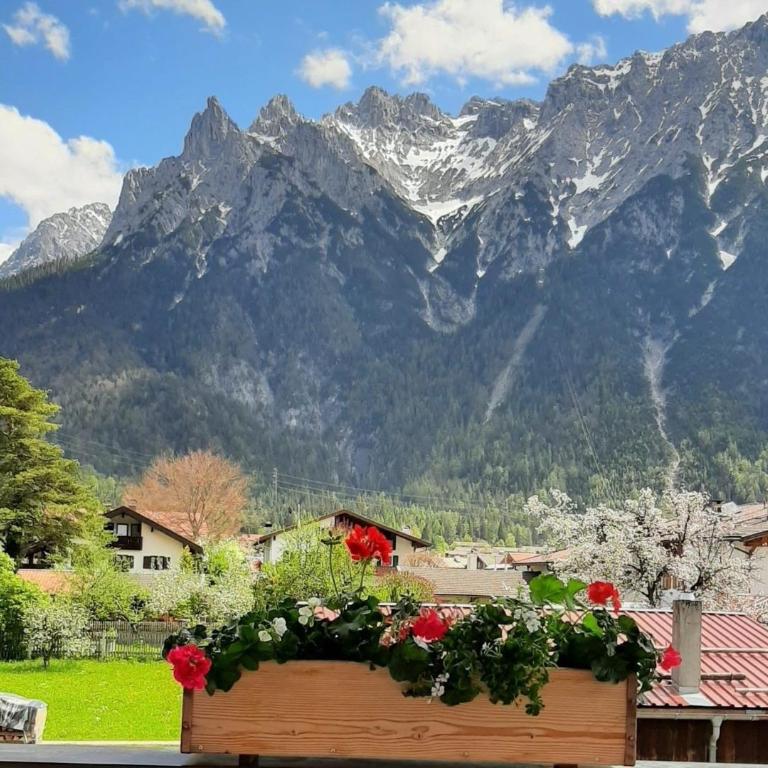 Haus Gabi - Wetterstein -418- - Apartamento - 12