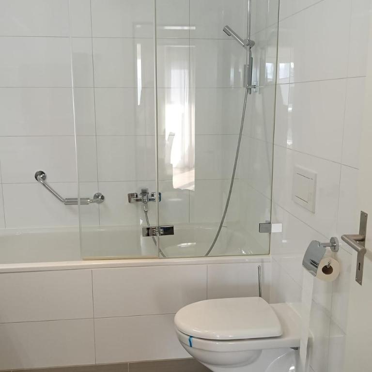 Luxury Penthouse 4 Bedroom 8 Min walk to WEF Davos - Apartment mit 4 Schlafzimmern - 59