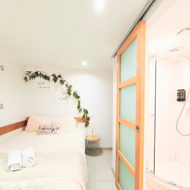 Souplex en pierre l 2l4pers l proche centre et tram - Apartment mit 2 Schlafzimmern - 22