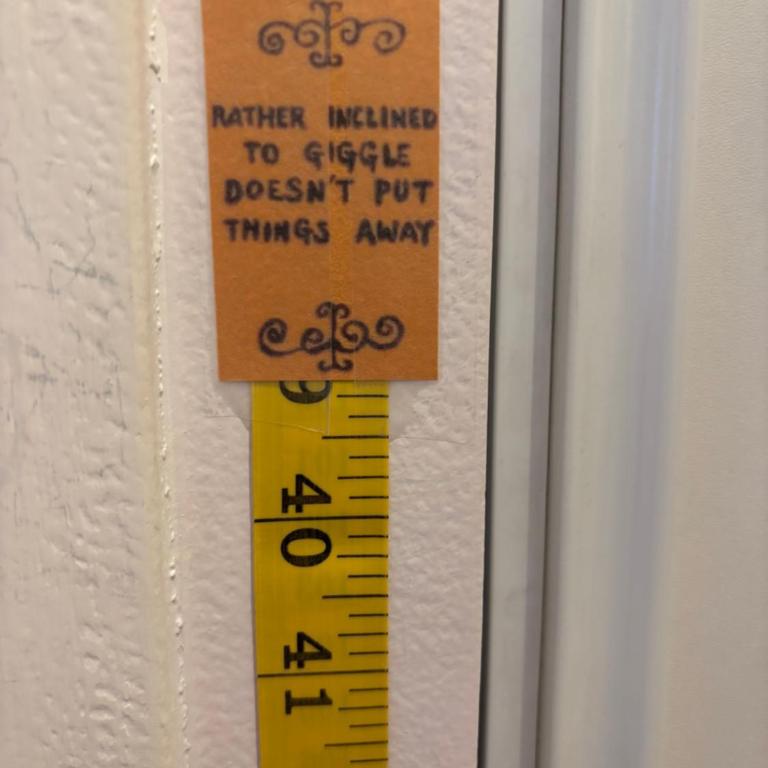 THE ENCHANTED HOUSE ( 15 min walk to Disney) - Apartment mit 2 Schlafzimmern - 21