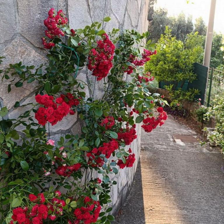 Villa Lavanda - Apartman sa 3 Spavaće Sobe - 17