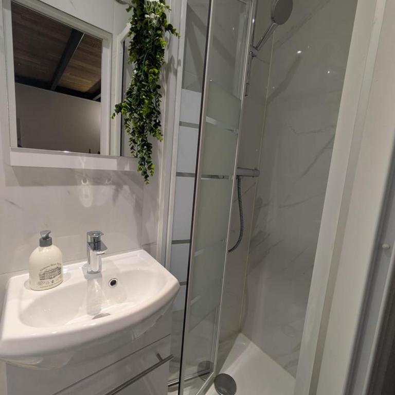 Superbe Studette au cœur de l'ile Saint Louis - 1 personne - Appartement - 9