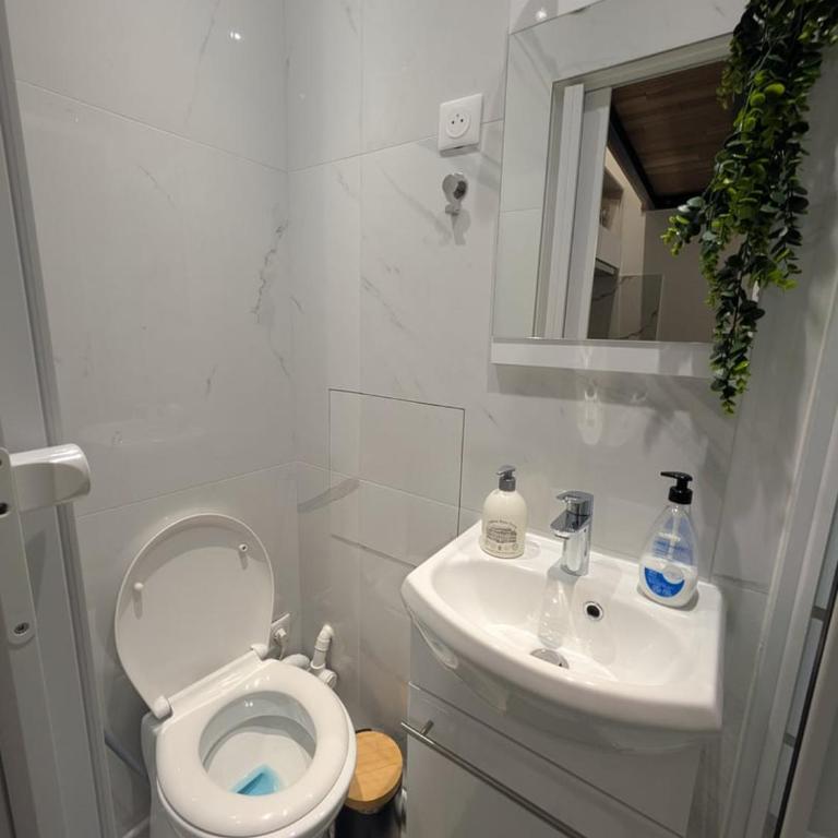 Superbe Studette au cœur de l'ile Saint Louis - 1 personne - Appartement - 8