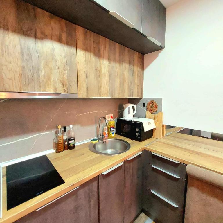Kopaonik Mihajlović Apartman - Studio - 5