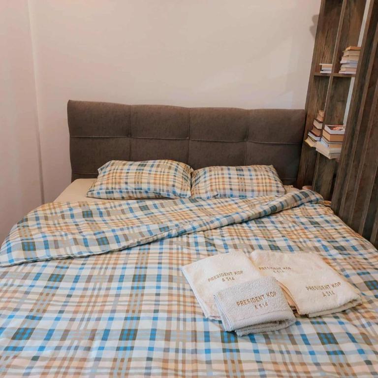 Kopaonik Mihajlović Apartman - Studio - 6