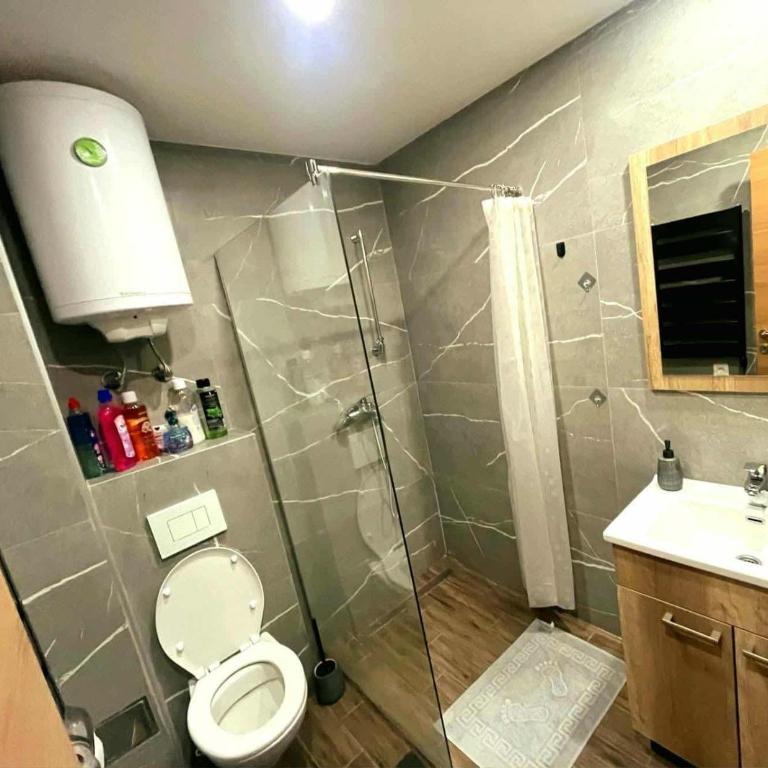 Kopaonik Mihajlović Apartman - Studio - 9