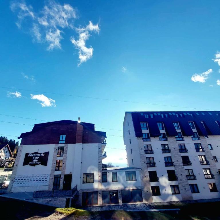 Kopaonik Mihajlović Apartman - Studio - 10
