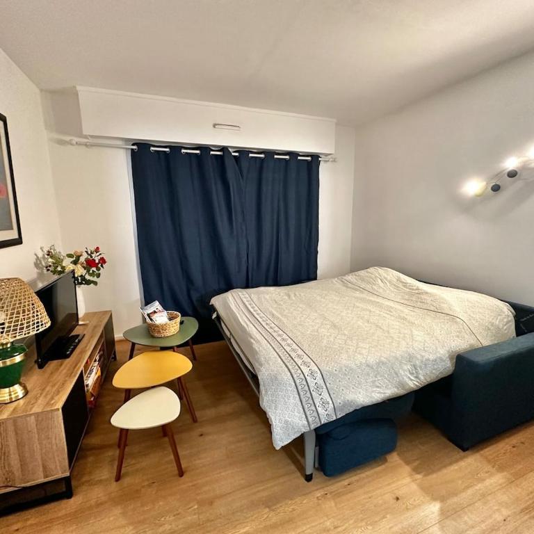 Isabelle - Appart 31m2 confortable en RDC avec parking et terrasse - Apartment mit 1 Schlafzimmer - 3