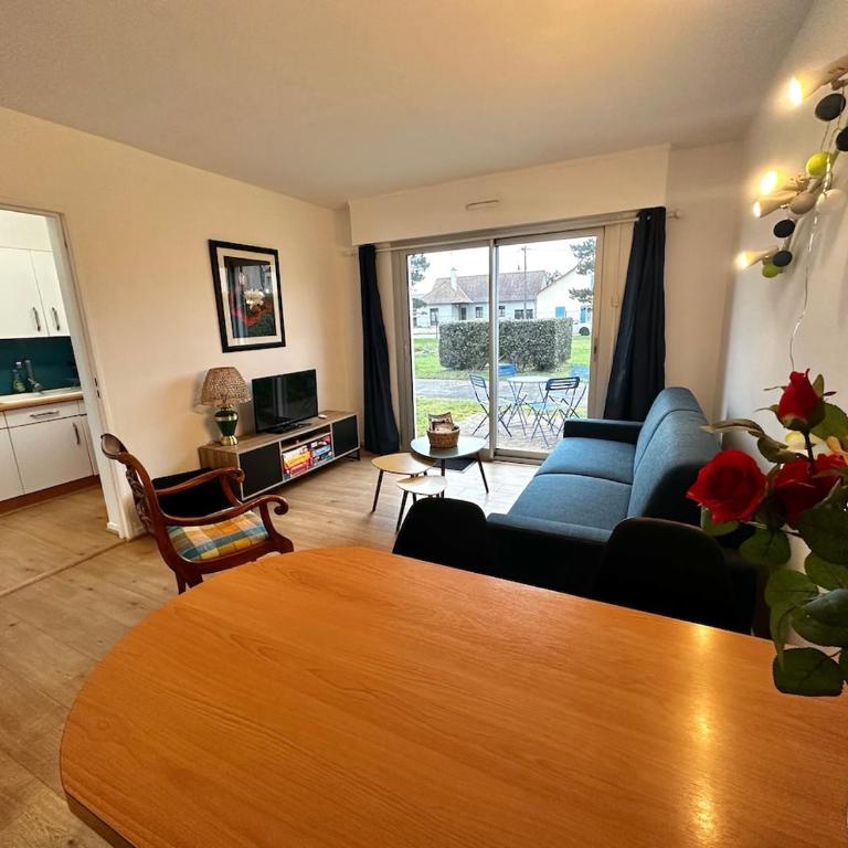 Isabelle - Appart 31m2 confortable en RDC avec parking et terrasse - Apartment mit 1 Schlafzimmer - 23