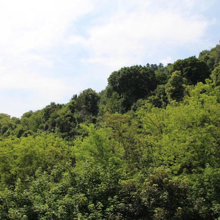 Budget Stay + Private Parking - Appartamento - 27