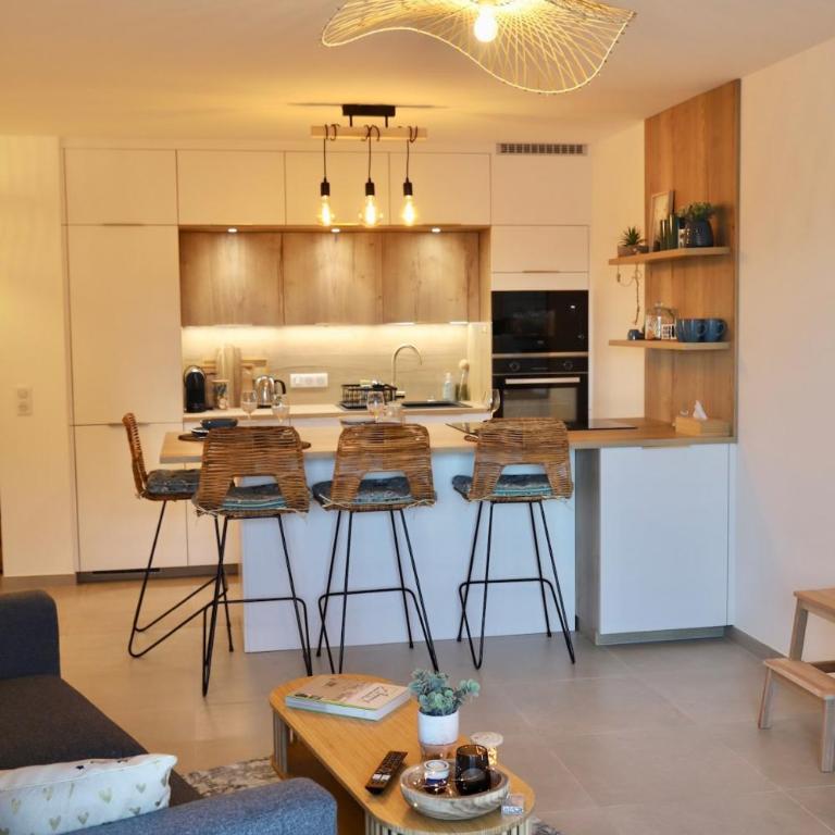 Pépite Suites - LE PARADIS BLEU - Au Bord du Lac - Terrasse & Garage - Apartamento de 1 dormitorio - 10