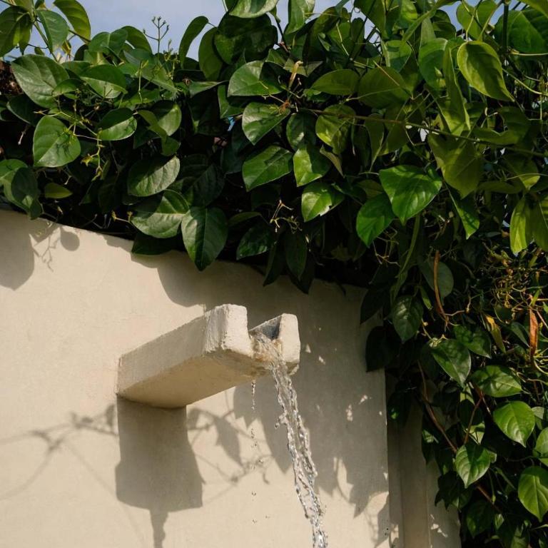 NOK Luxury Colonial Villa 6BR with Pool Staff & Breakfast at Getsemani - Villa - 81