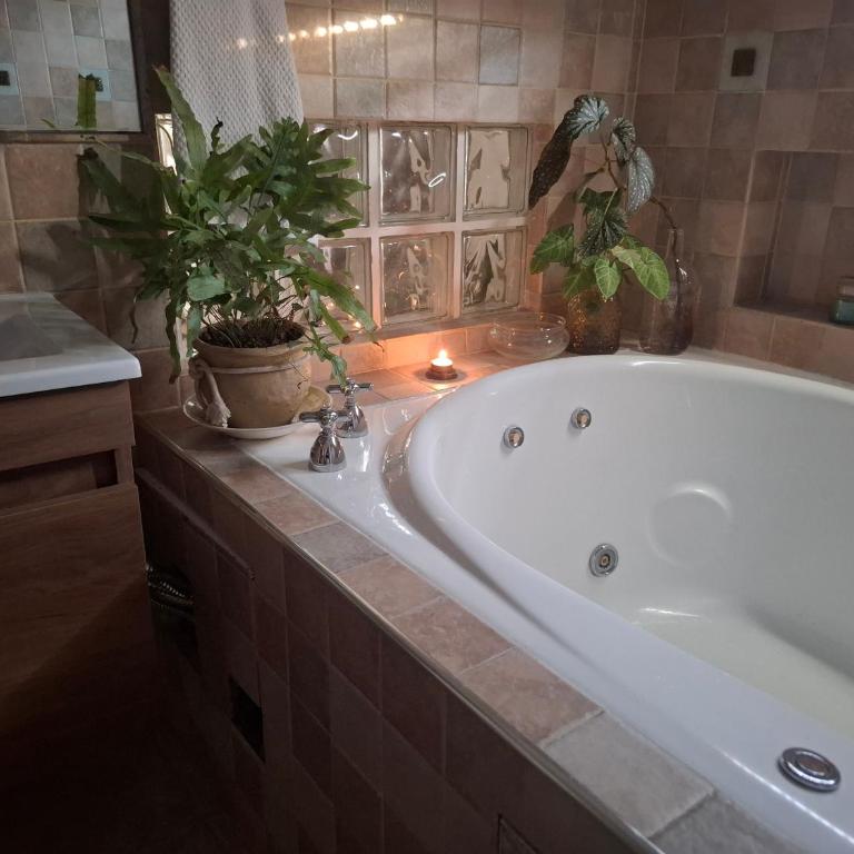 Monoambiente luminoso con Jacuzzi Relax y estilo - Apartamento de 1 dormitorio - 4
