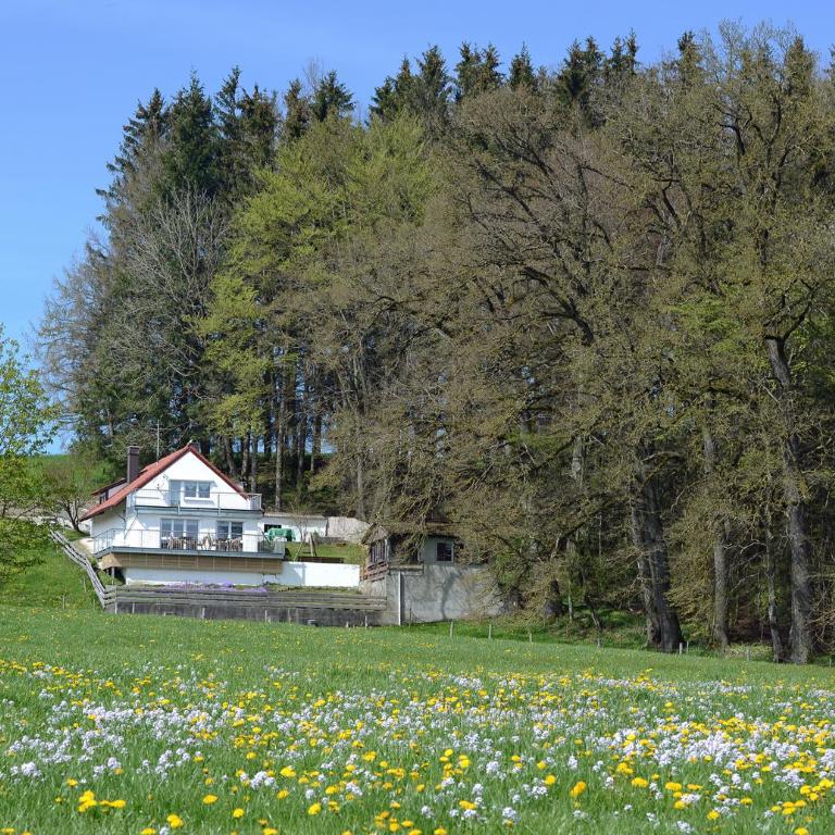 Haus Allgäublick bei Kronburg - Alleinlage mit Sauna, Kamin und eingezäuntem Garten - Haus mit 3 Schlafzimmern - 18