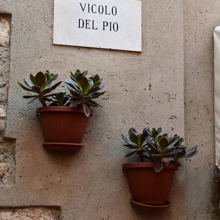 Casa Marina - Holiday Rental - Appartamento - 29