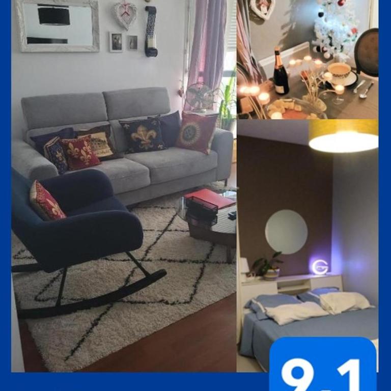 IL & DG Services - One-Bedroom Apartment - 2