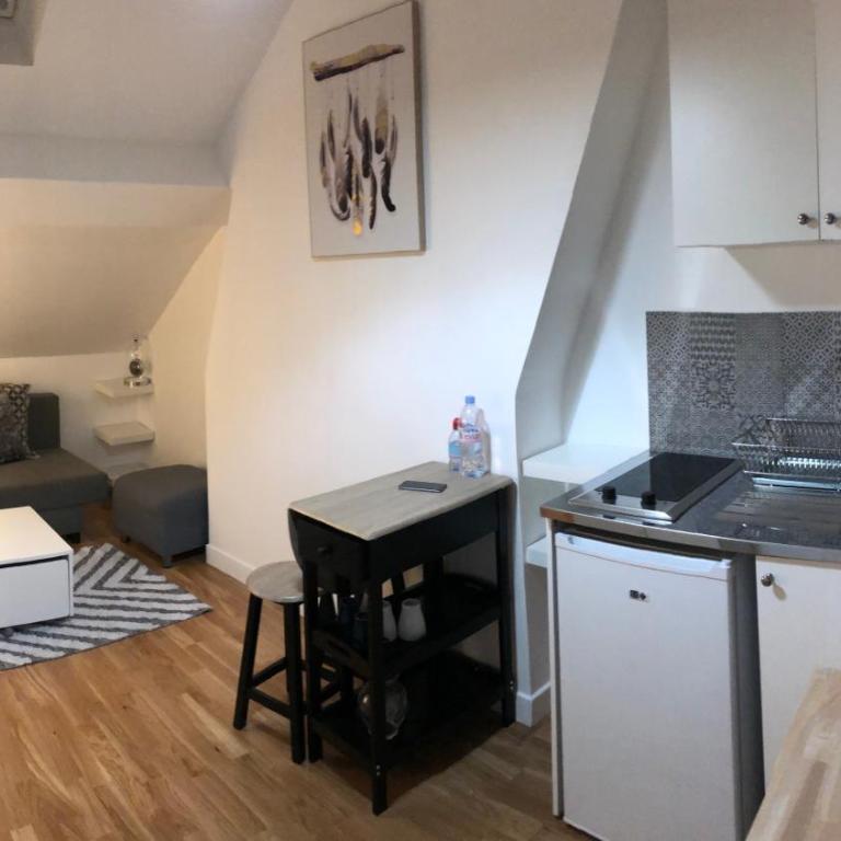 Boulogne Paris-Ouest magnifique studio accès Parc des Princes et Roland Garros - Apartment mit 1 Schlafzimmer - 16