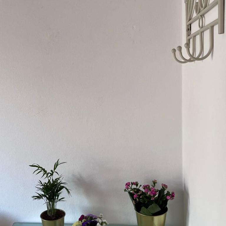 Istria house close to the Pisa tower - Three-Bedroom Apartment - 29