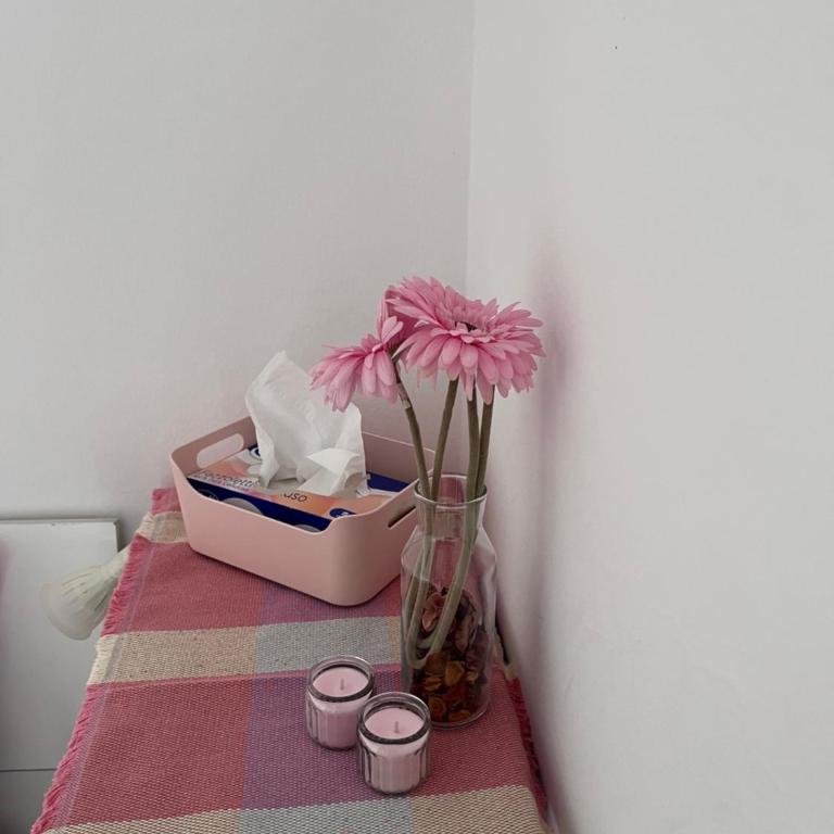 Istria house close to the Pisa tower - Three-Bedroom Apartment - 37
