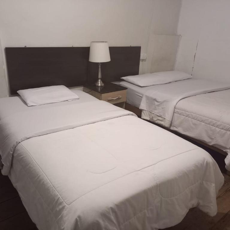Departamento en Saphy - Two-Bedroom Apartment - 1