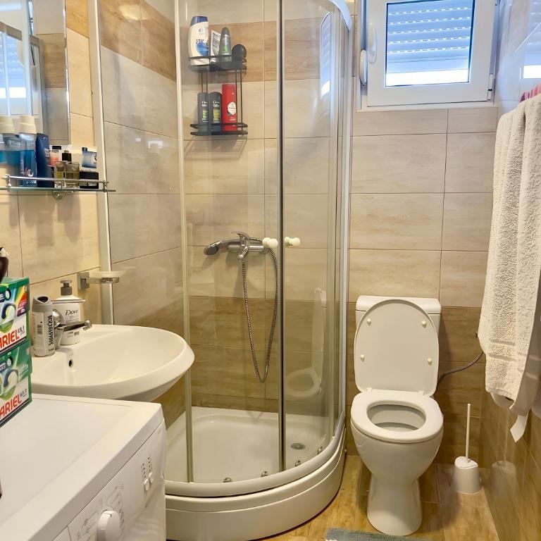 Bojovic's Apartment - Apartman - 11