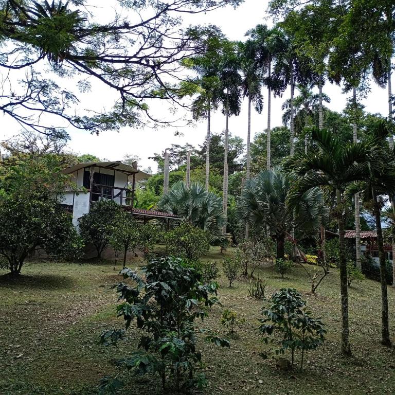 Cabañas en el Bosque - Three-Bedroom House - 27