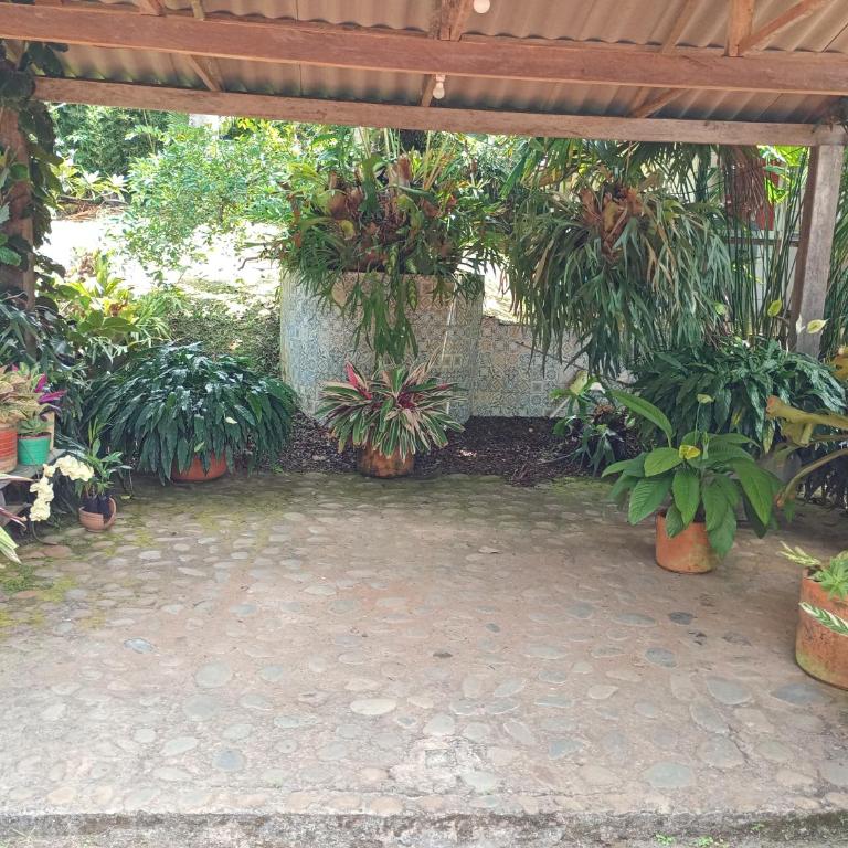 Cabañas en el Bosque - Three-Bedroom House - 28