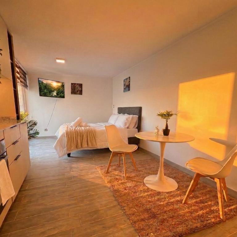 Nuevo Studio I Movistar Arena I Zona centro - One-Bedroom Apartment - 3
