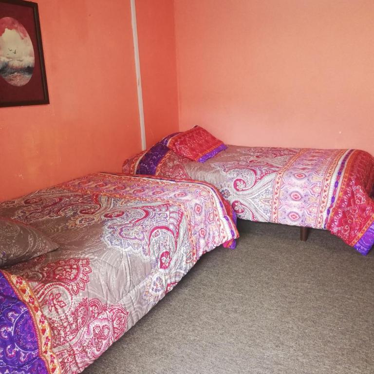 Montano Camping & Hostel - Standard Twin Room with Garden View - 4