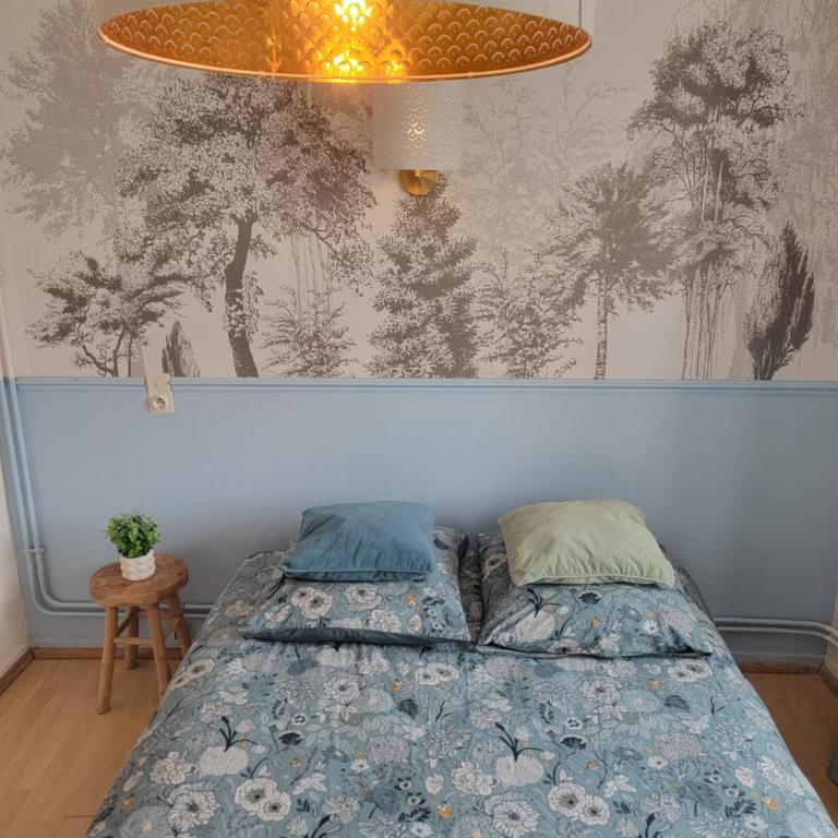 Chambre Lumineuse - Centre et Chateau - Cuisine Partagée et Salle de Bain Privée - Appartement 1 Chambre - 1
