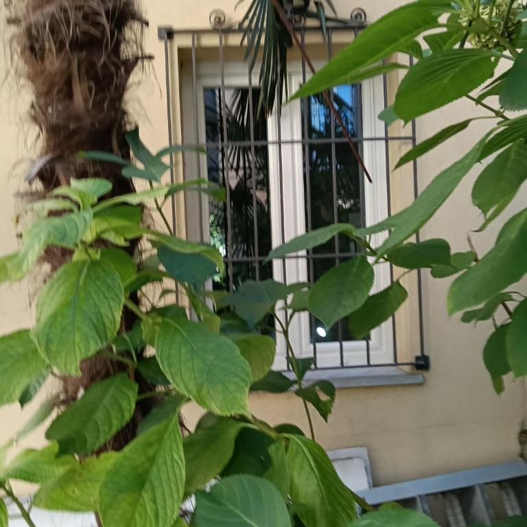 Lake Como PORTO VECCHIO - Charming Lakefront Apartment in the Heart of Domaso - Appartamento con 1 Camera da Letto - 40