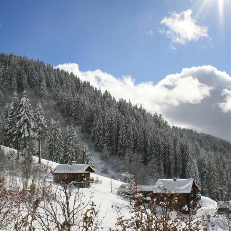 La Chanterelle - Mountain Lodge - Chambre Double ou Lits Jumeaux Deluxe - Vue sur Montagne - 3