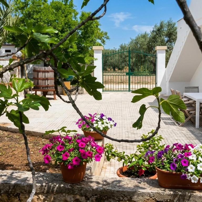 Agriturismo Tenuta La Siesta - Casa con 2 Camere da Letto - 7