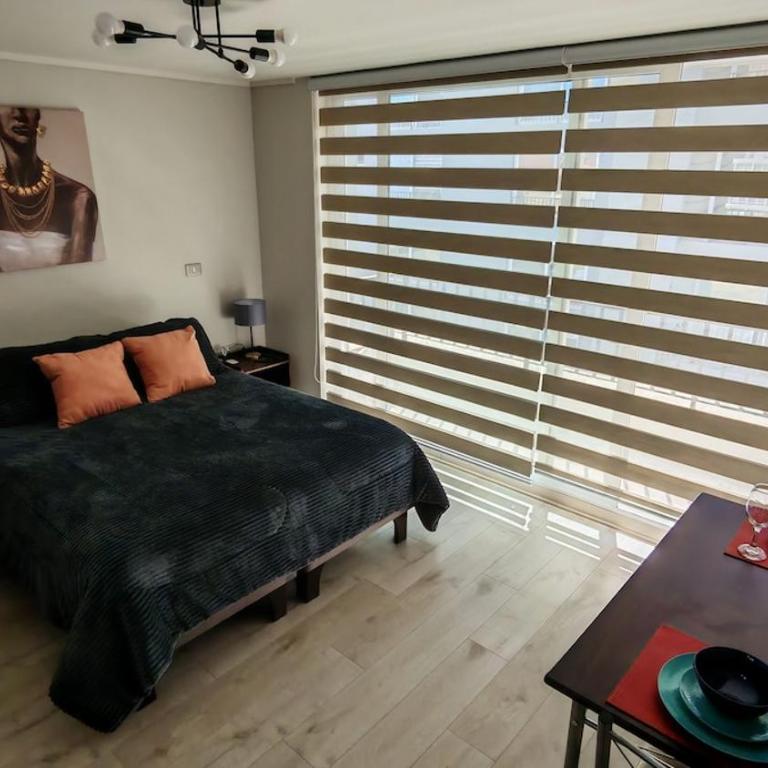 Moderno y Céntrico Refugio - One-Bedroom Apartment - 1