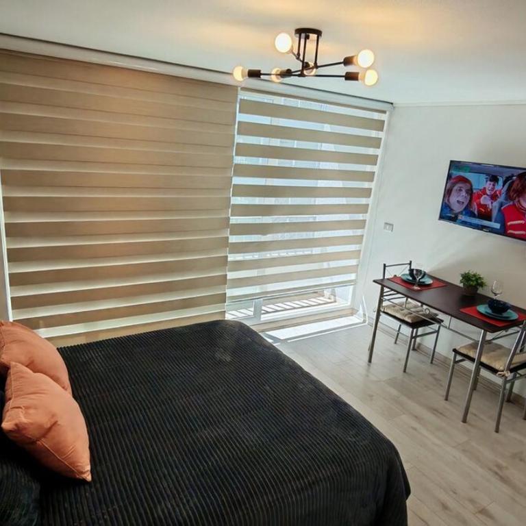 Moderno y Céntrico Refugio - One-Bedroom Apartment - 30
