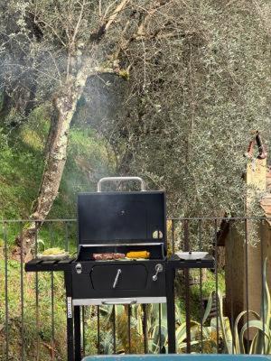 Infinity house colline Camaiore - Villa con Vista Giardino - 22
