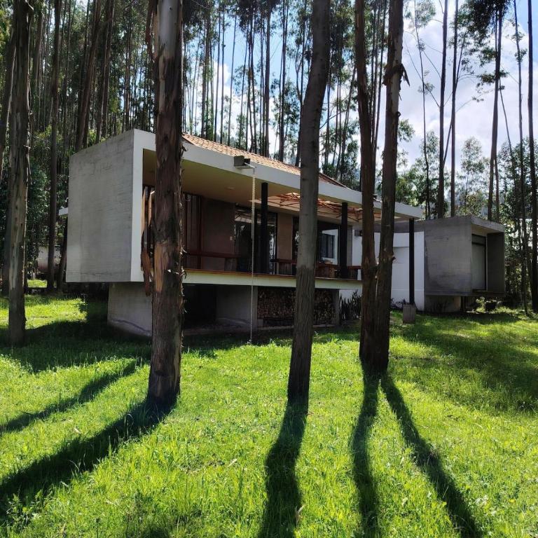 Eucalyptus Forest Villa - The Perfect Escape - Three-Bedroom Villa - 16
