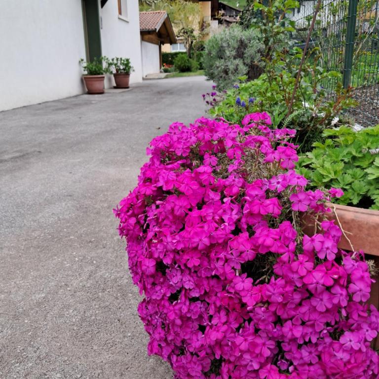 Casa Nonna Adelaide - Appartamento con 3 Camere da Letto - 23
