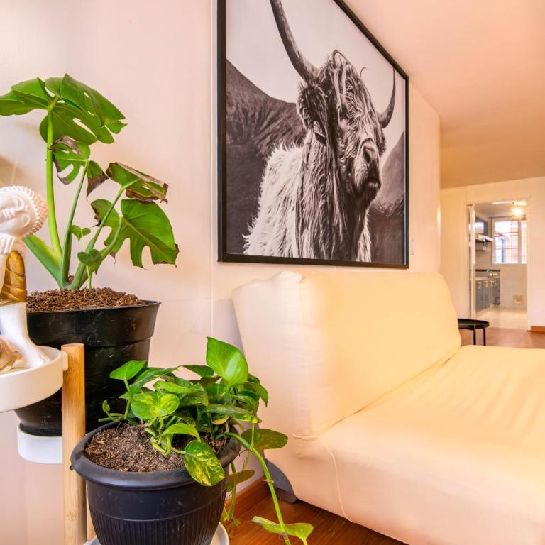 Encantador apartamento en la Zona Rosa - Two-Bedroom Apartment - 16