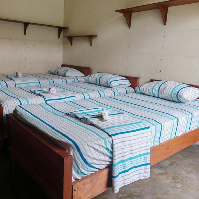 Hotel La Casa Del Paucar - Budget Triple Room - 4