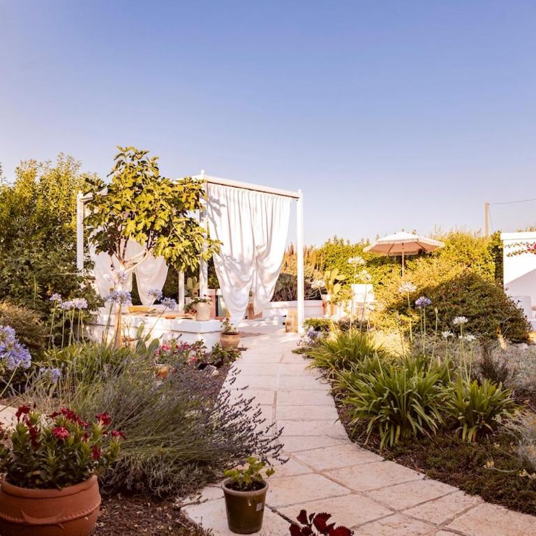 I trulli di Marghe nel cuore della valle - Casa con 1 Camera da Letto - 5