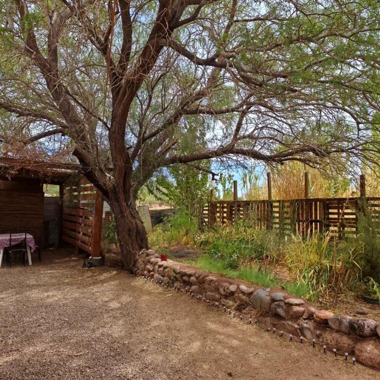 Luna Atacama - Quadruple Room - 10