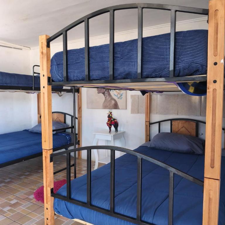 Luna Atacama - Quadruple Room - 13