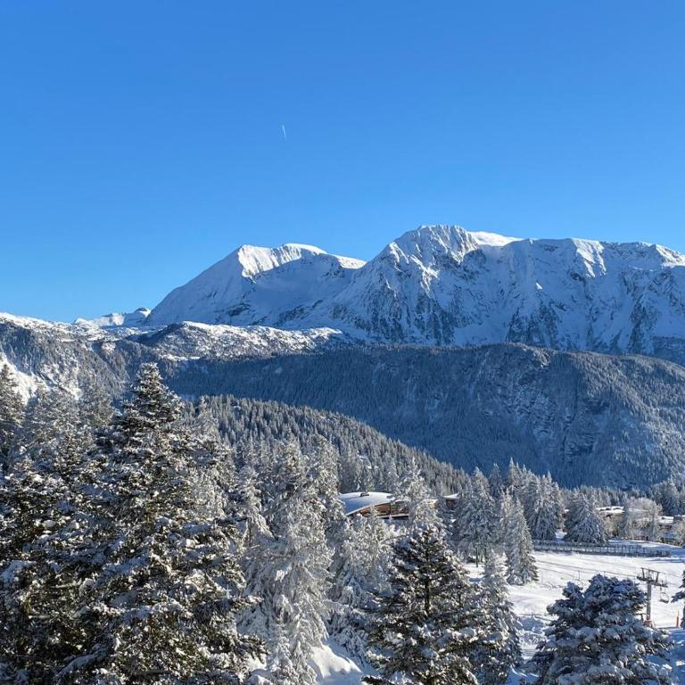 appartement ski aux pieds - 2 chambres - terrasse vue montagne - parking - Apartamento de 2 dormitorios - 11
