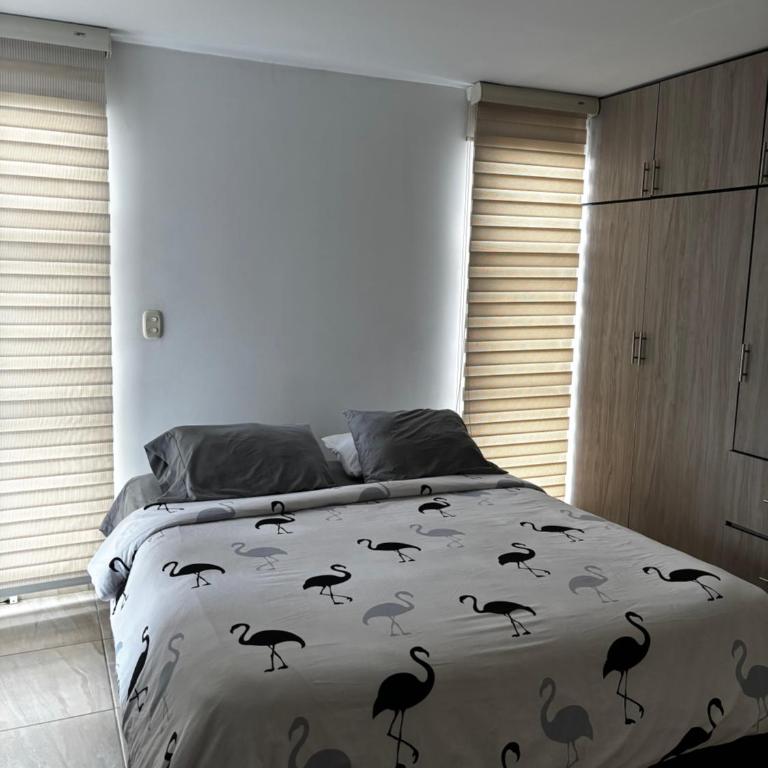 Apartamento amplio y acogedor - Apartamento de 2 dormitorios - 15